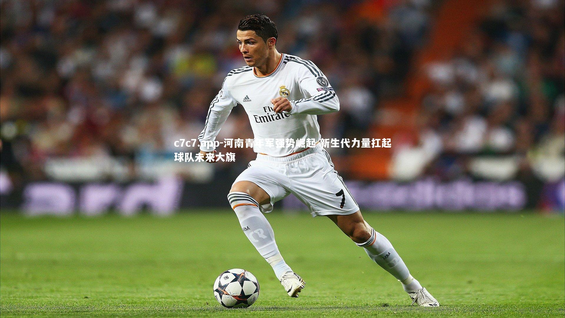 c7c7.app-河南青年军强势崛起 新生代力量扛起球队未来大旗